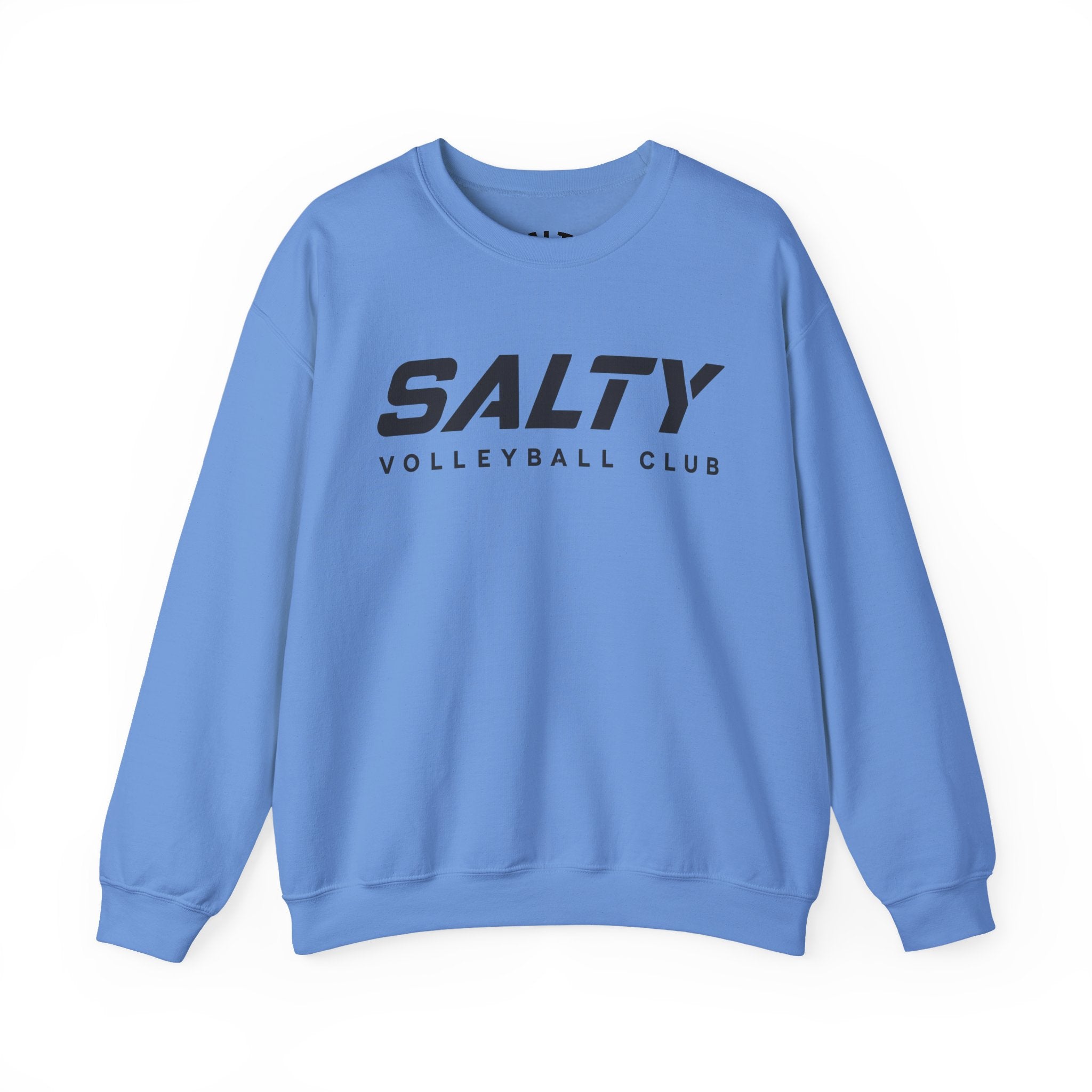 Basic Salty Crewneck Sweatshirt